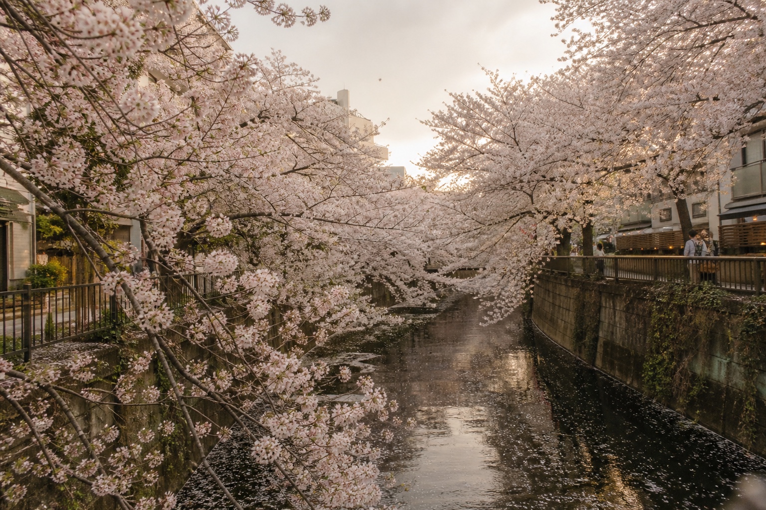 TOKYO IN DETAIL