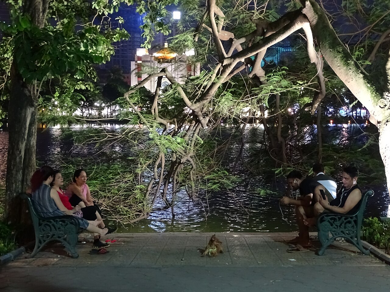 週末夜晚的還劍湖與老城區