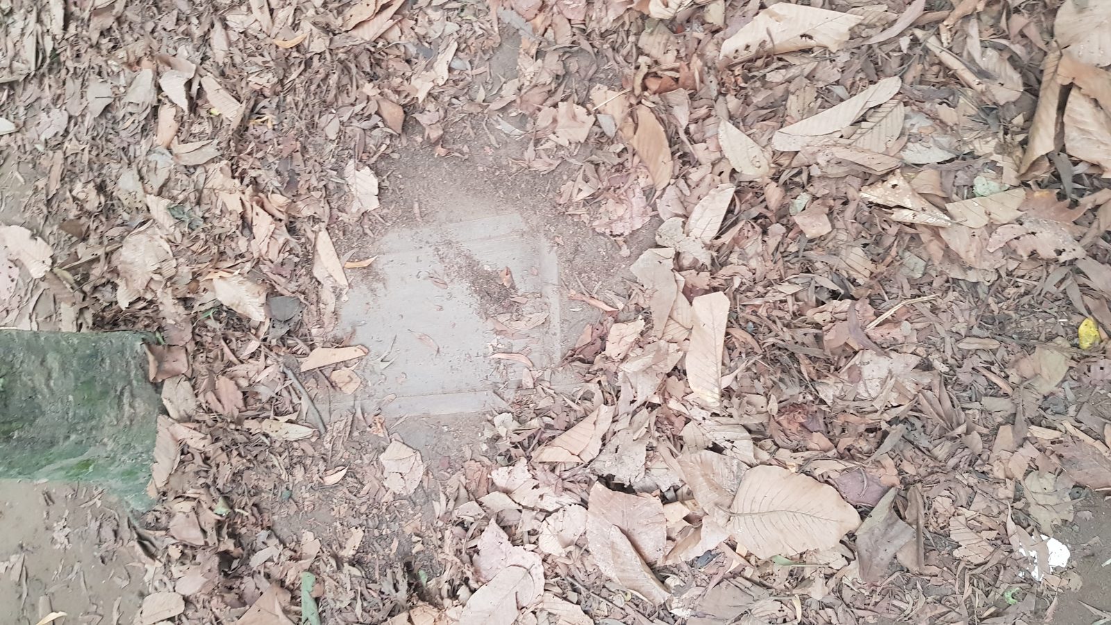 古芝地道入口，胡志明市近郊景點
