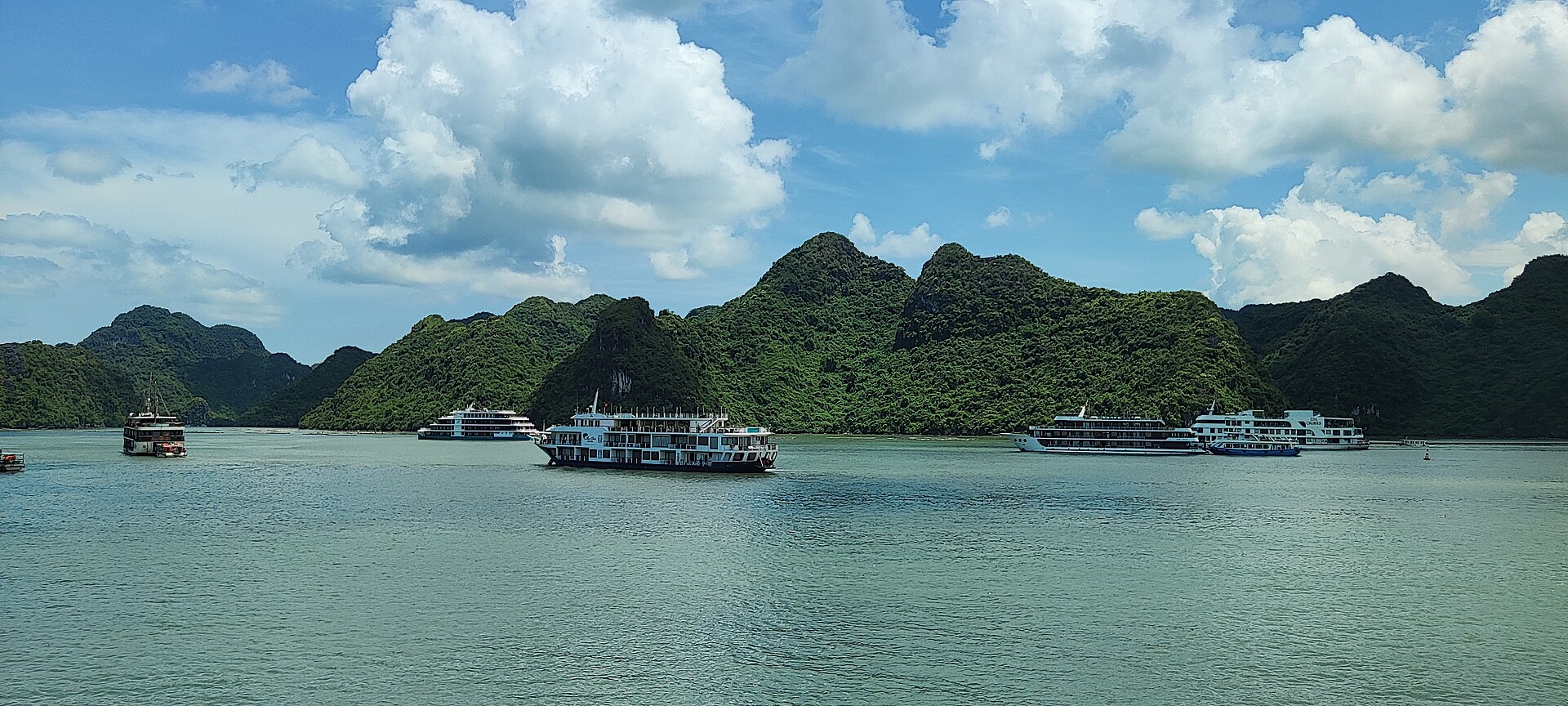 下龍灣遊船群實景照，下龍灣一日遊船怎麼選示意