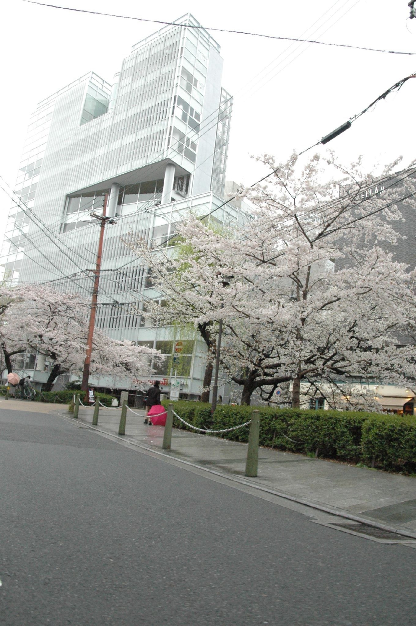 京都三条與木屋町一帶街景，晚餐區域