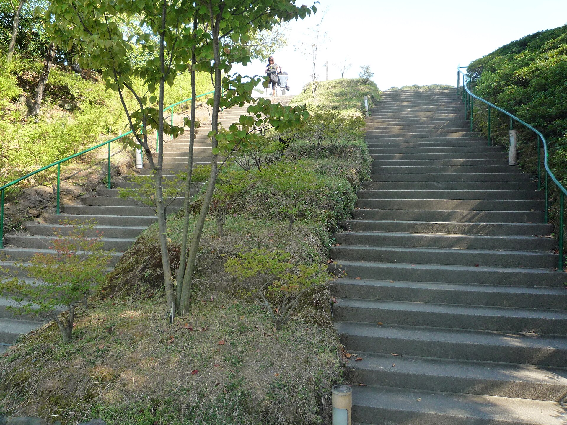 高台寺 庭園 拝観料