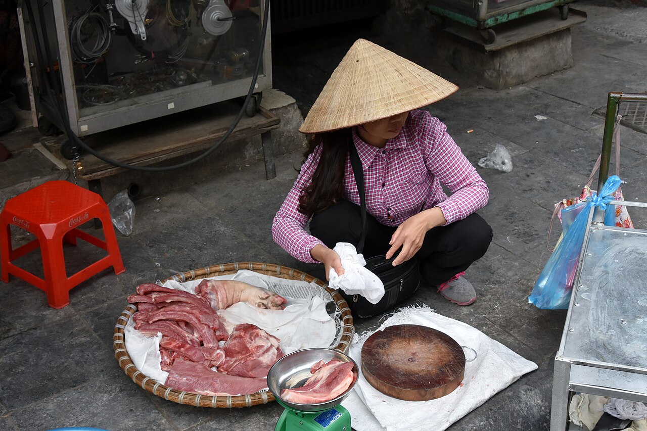辦好越南電子簽證後可以去河內老城區