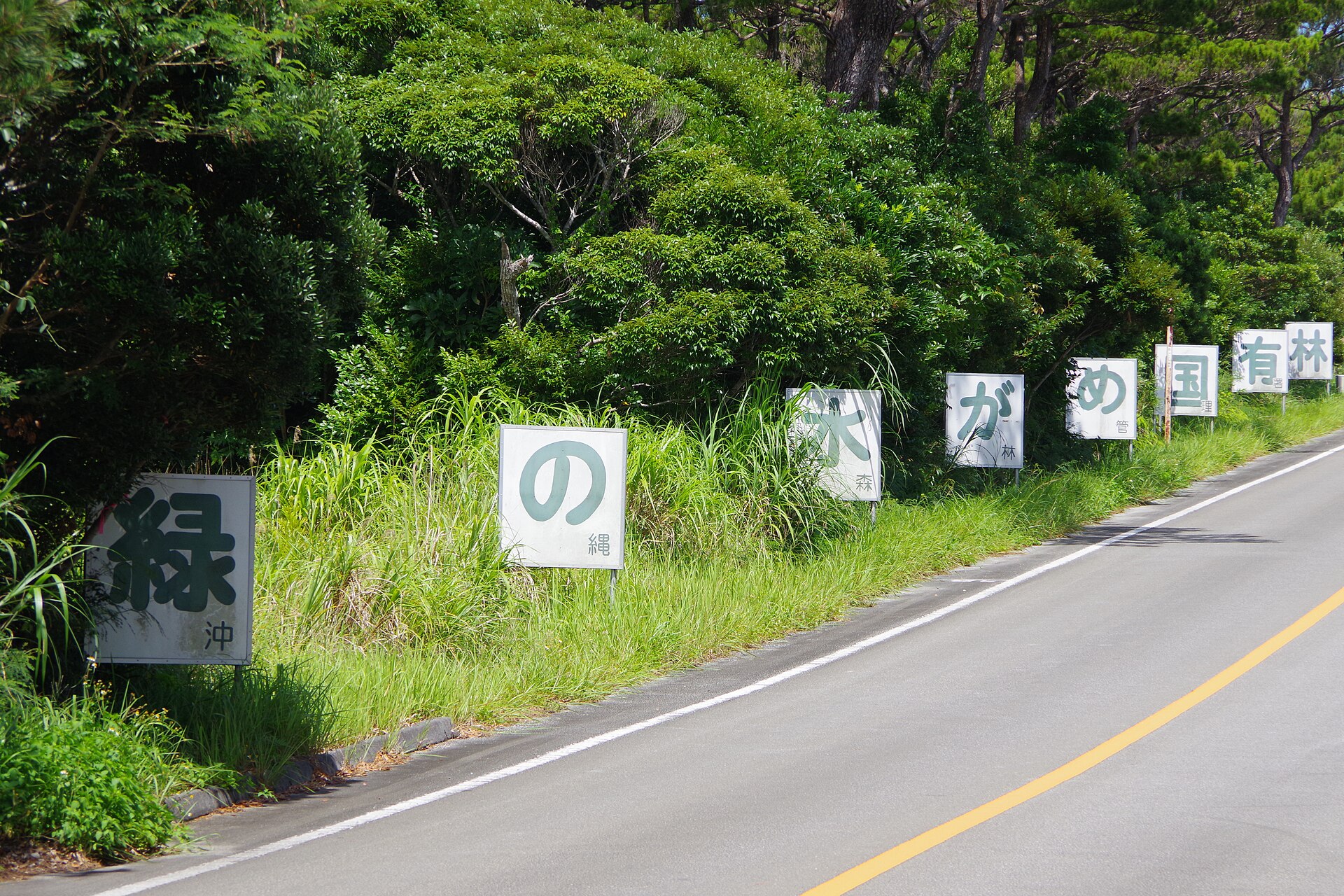 沖繩道路標誌，一個人開車看路牌的難處