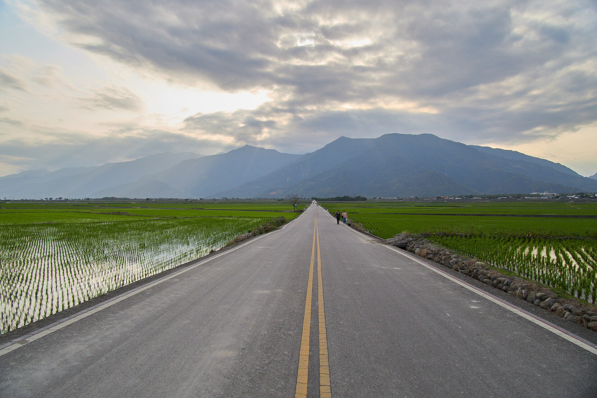 池上伯朗大道,一個人騎腳踏車的路線
