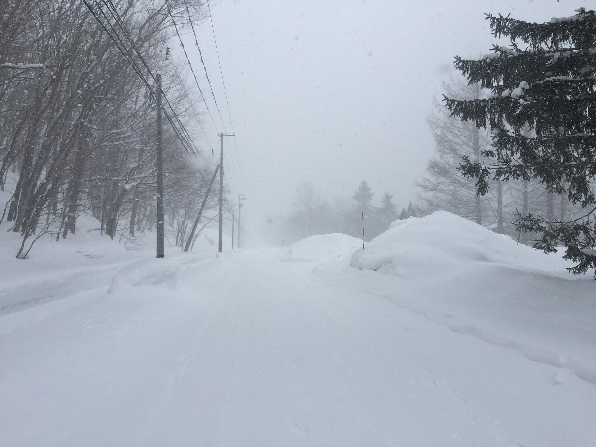 北海道 冬天 吹雪 道路 一個人自駕
