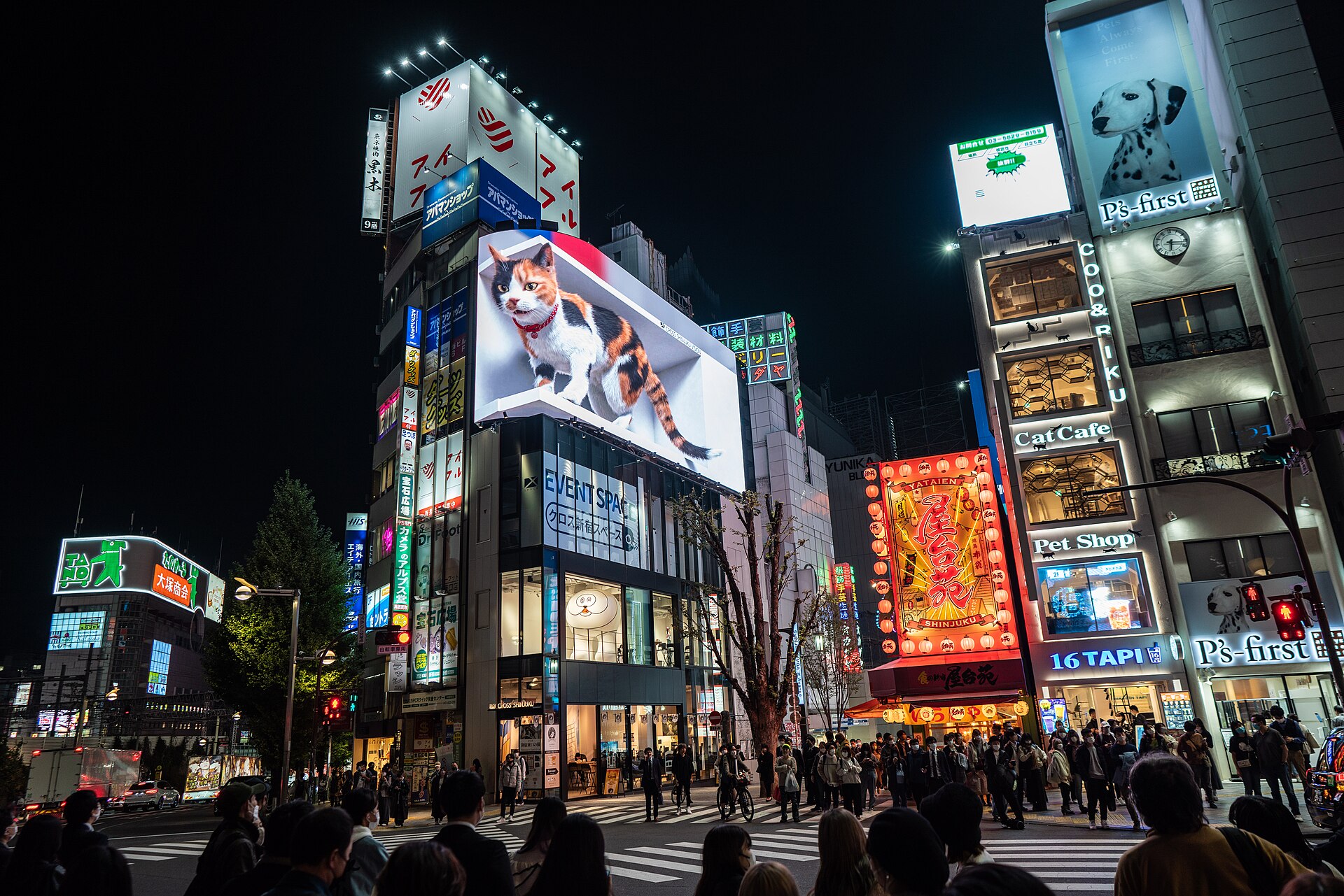 東京末班車 新宿東口 晚上