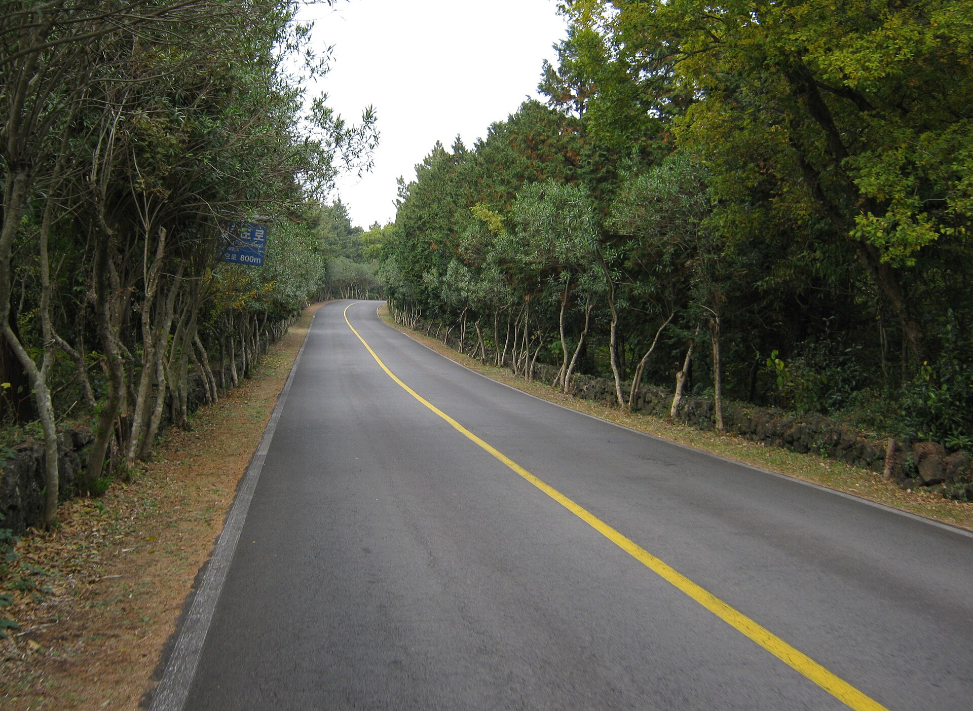 濟州島計程車方便嗎 海岸道路