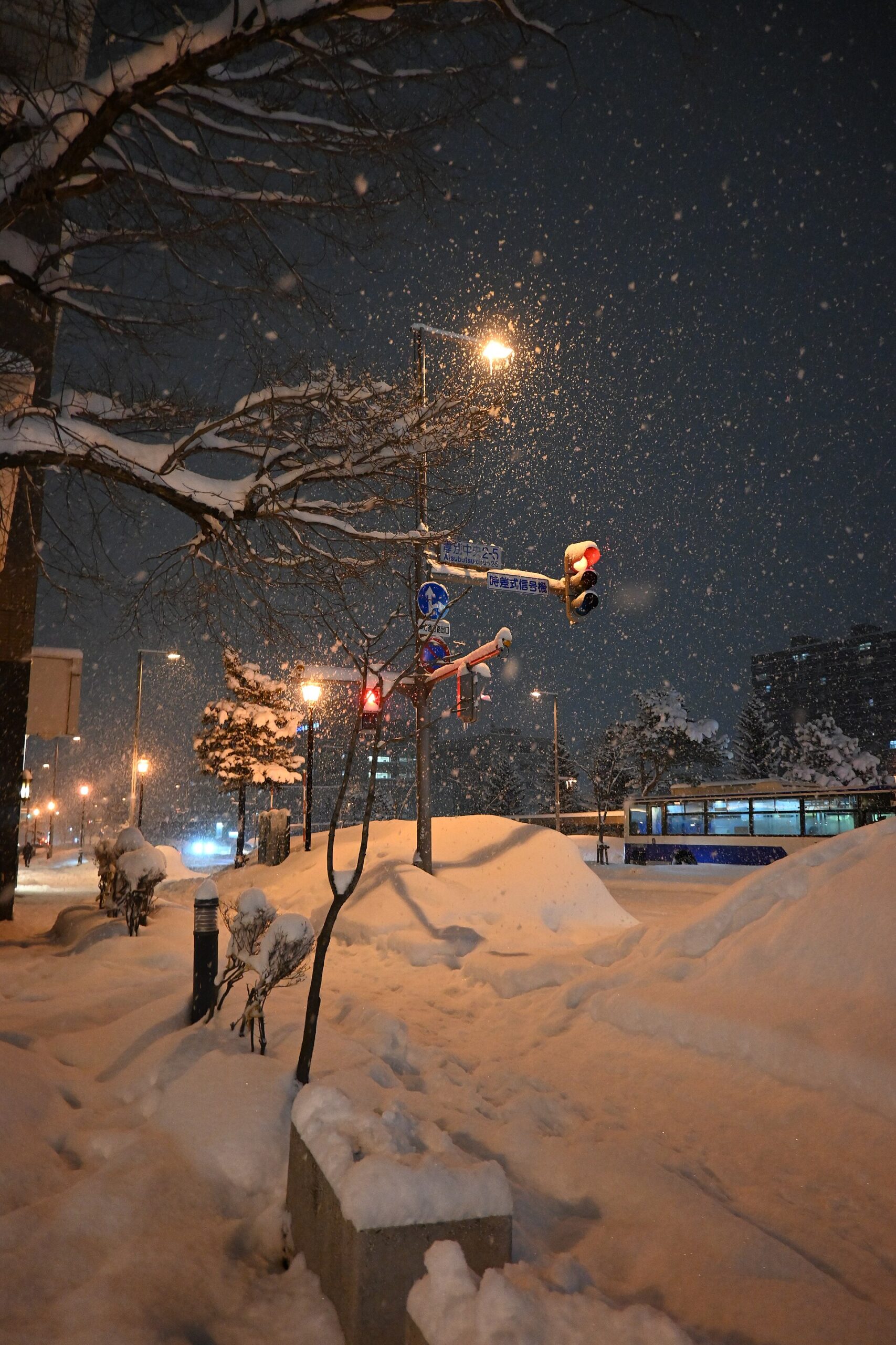 札幌 冬天 晚上 街道 一個人