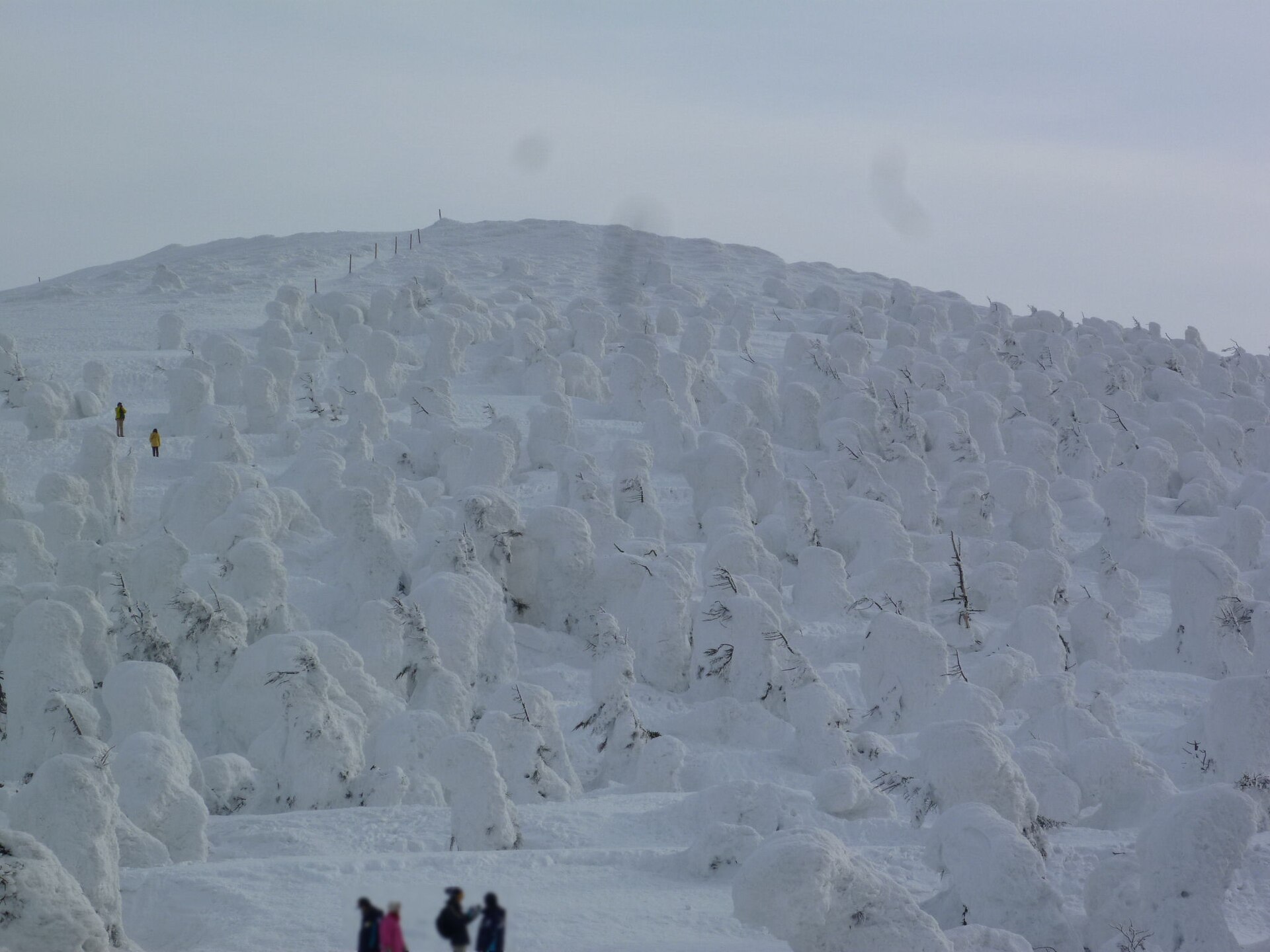 雪場外 樹林 一個人 搜救 費用