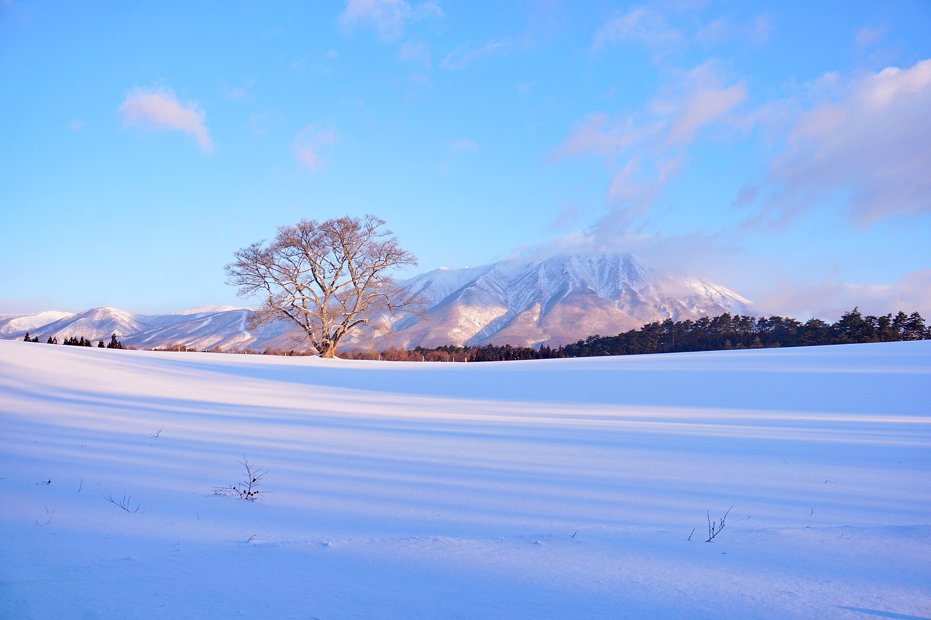 岩手 冬天 一個人 滑雪