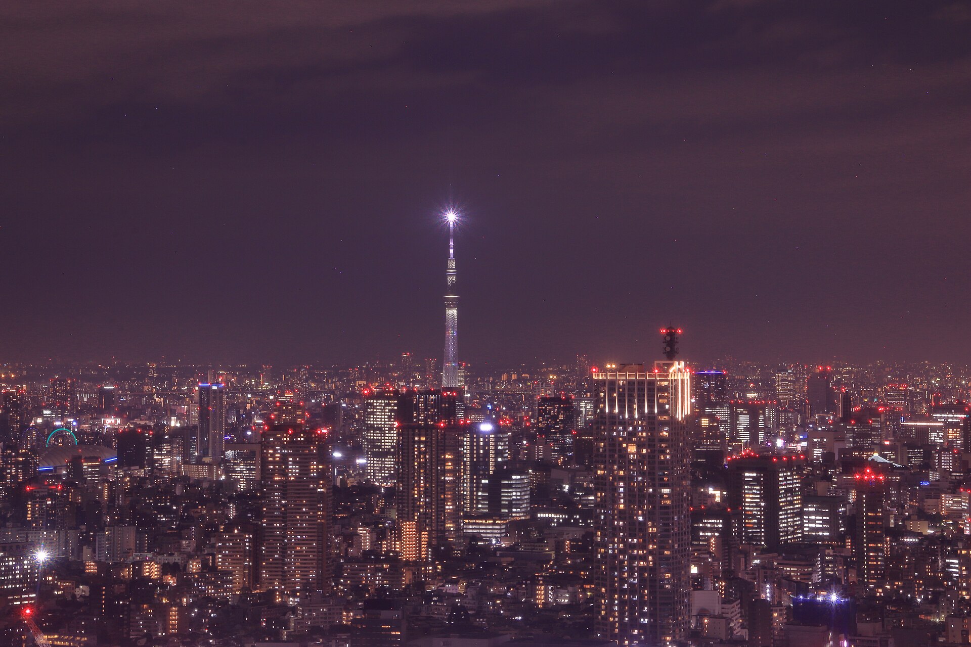 東京 夜景 都廳 一個人