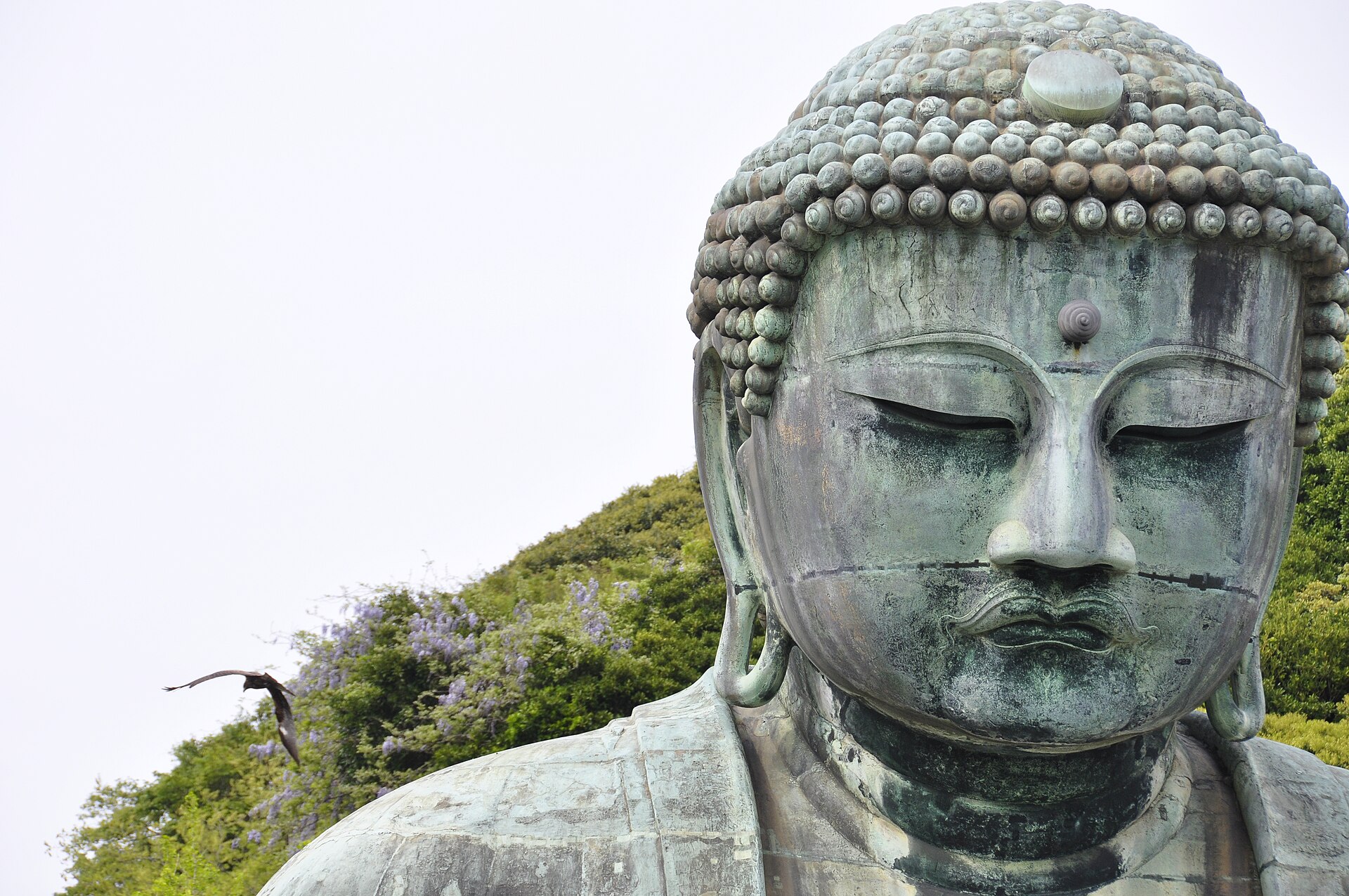 找旅伴 一日遊 鎌倉